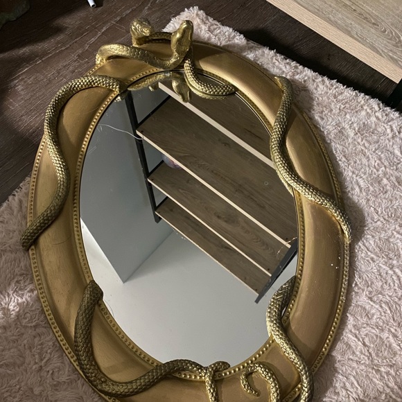 Homemade Harry Potter Nagini snake mirror! Made it from scratch! :) - Picture 2 of 3